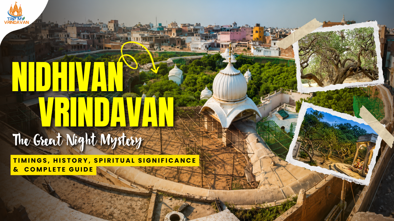 Nidhivan Temple Vrindavan