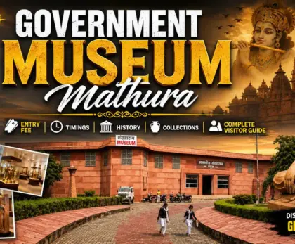 Government Museum Mathura timings
