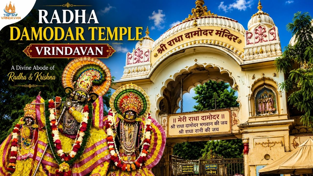 Radha Damodar Temple Vrindavan