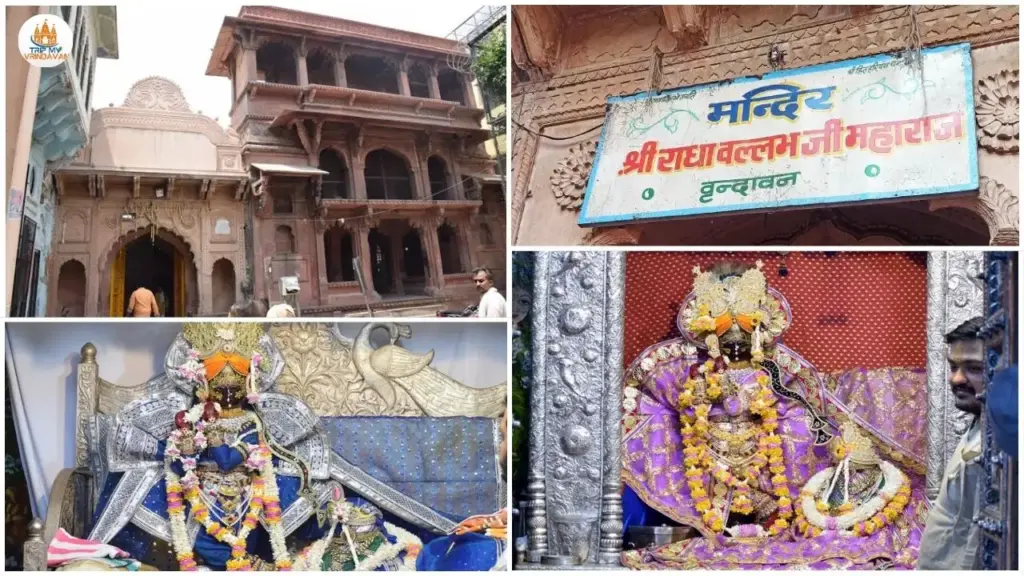 Shri Radhavallabh Lal Ji Temple (1)